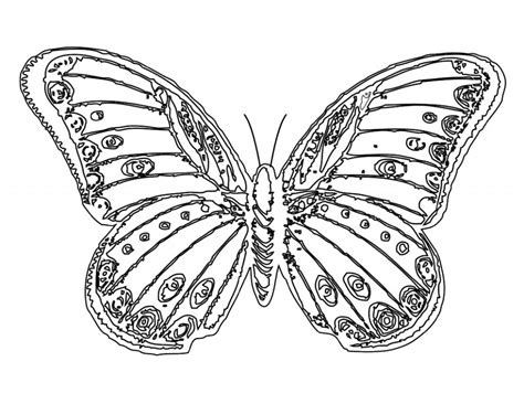 Get Free Printable Pictures Of Butterflies To Color Mackira Thanatos