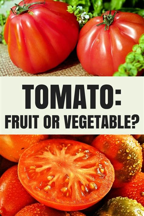 Is A Tomato A Fruit Or Vegetable