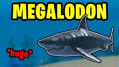 The New Megalodon Is Huge Roblox Sharkbite 2 Youtube