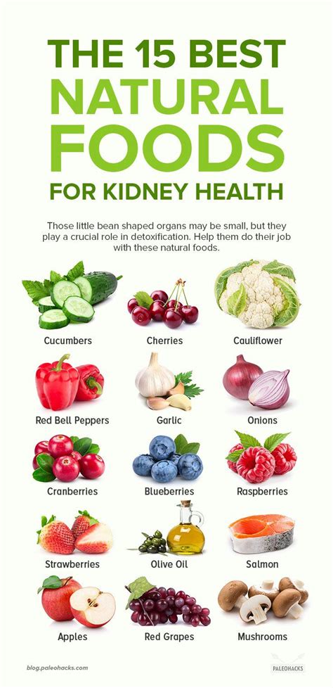 Reviewed by registered dietitian nutritionist and certified personal trainer alexandra dusenberry the kidneys are extremely important organs. 15 Best Foods To Naturally Help Your Kidneys Detox in 2020 ...