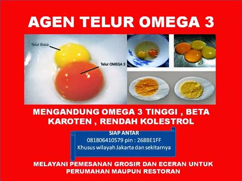 Maybe you would like to learn more about one of these? DISTRIBUTOR TELUR OMEGA 3