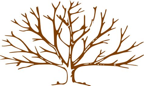 Bare Tree Trunk Clipart | Tree outline, Bare tree, Tree ...