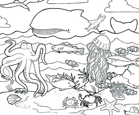 Sea Life Coloring Pages For Adults At Free Printable