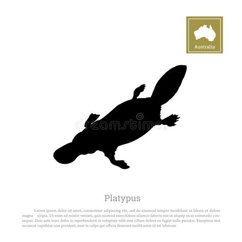 Platypus Silhouette Stock Vector Illustration Of Sketch 201997319