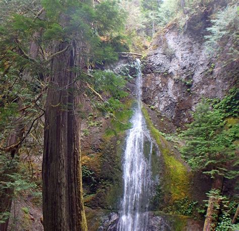 Maybe you would like to learn more about one of these? Marymere Falls, WA - Tharrold - Sept 2015 | Waterfall ...