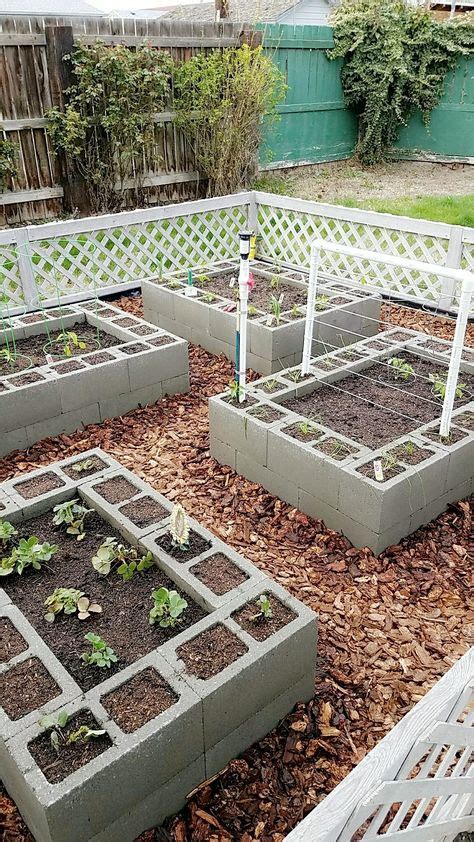 You can designate your veggie this cinderblock garden is growing vegetables in the center and flowers in the grooves of the add more and more green to your outdoor living space with the addition of many cinder block gardens! Pin by Tito Mcintosh on My cinder-block garden... | Garden ...