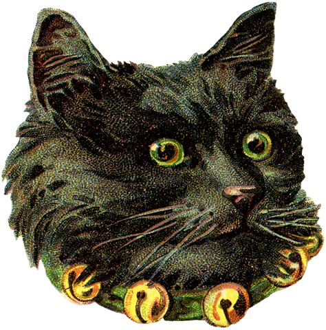 Free Black Cat Image The Graphics Fairy