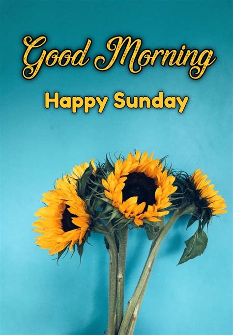 Top999 Good Morning Happy Sunday Images And S