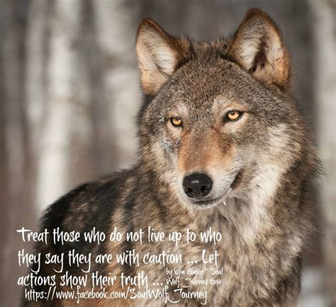 Gray Wolf Treat Those Who Do Not Live Up To Who They Say They Are With