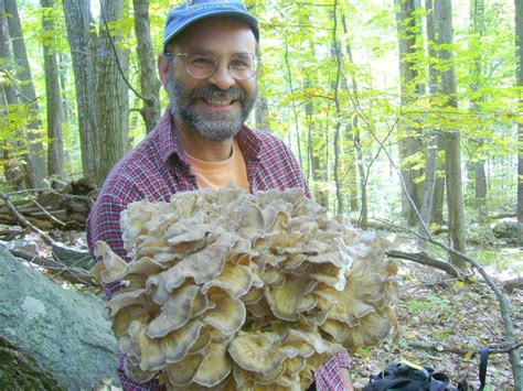 Edible Native Plants And Mushrooms Of Southeastern Ri Massachusetts