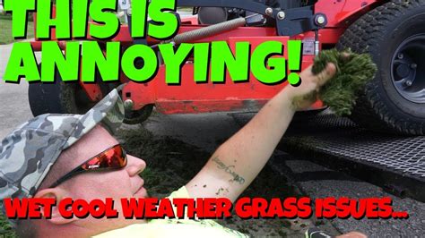 This Is So Annoying Lawn Care Issues Mowing Tall Wet Grass Youtube