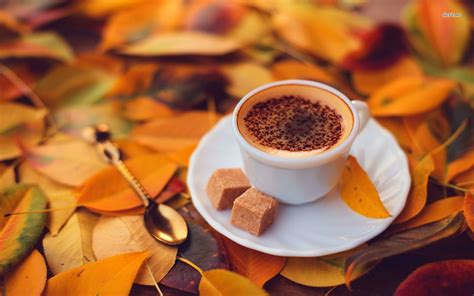 Coffee On The Autumn Leaves Hd Wallpaper Autumn Coffee Coffee