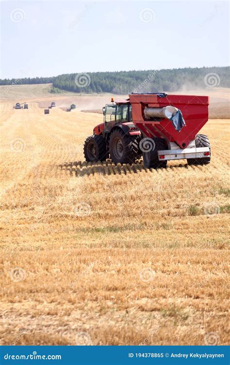 Tractor And Combine Harvesters Working On A Wheat Field Harvesting The