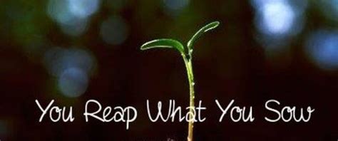 ‘you Reap What You Sow Poem By Jill Tait