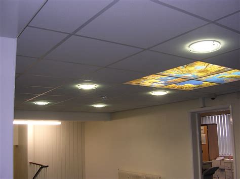 This expert skylight buying guide discusses types of skylights, planning a skylight's location, glazing options. Skylight Feature Ceiling