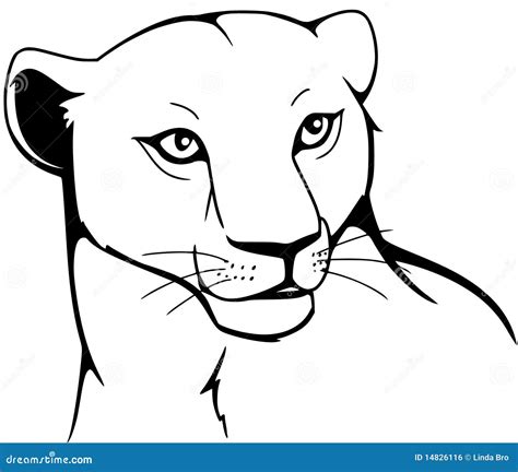 Lioness Stock Vector Illustration Of Africa Wild Mane 14826116