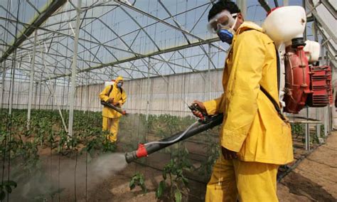 Pesticide Residue On Food Could Affect Sperm Quality Says Harvard
