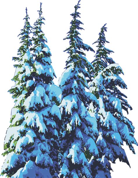 Winter Pine Trees Christmas
