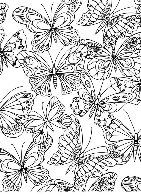 Dessin Papillon A Colorier Coloriage Papillon Simple à Imprimer