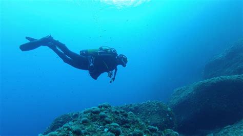 Scuba Diving - Guided Reef & Bay Dives in Gozo by Blue Waters Dive Cove ...