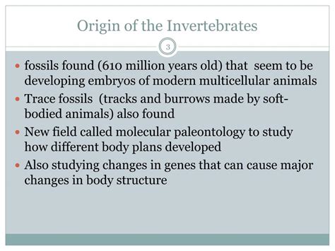 Ppt Chapter 29 Comparing Invertebrates Powerpoint Presentation Free