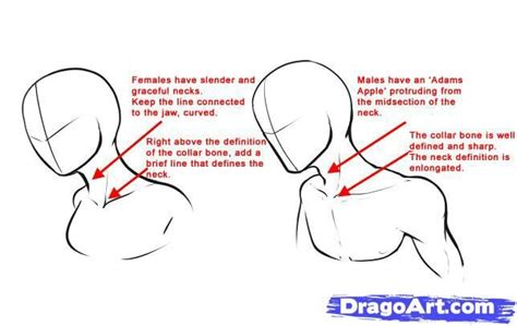How To Draw Anime Necks Body Reference Drawing Guided Drawing