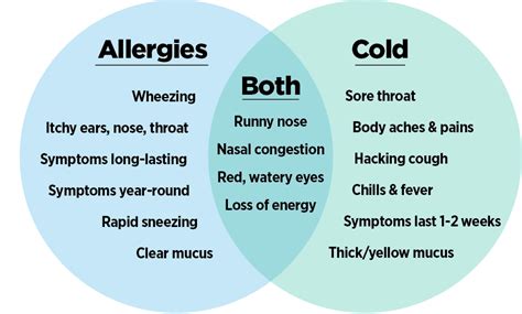 Infographic Describing The Common Symptoms And Differences Between The