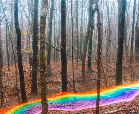 Rainbow Roads Le Strade Arcobaleno Di Daniel Mercadante Collateral
