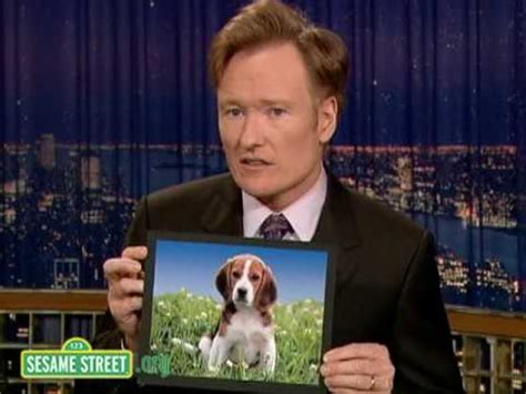 After writing for saturday night live and the simpsons, o'brien landed a prime spot hosting late night and has hosted two shows since: Sesame Street: Conan O'Brien Explains Dog - YouTube