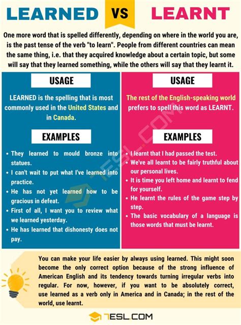 Learnt Vs Learned When To Use Learned Vs Learnt With Useful Examples