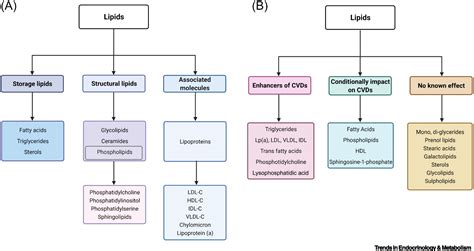 Lipids And Lipoproteins In Cardiovascular Diseases A Classification