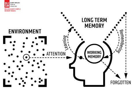 Cognitive Load Theory The Definitive Guide