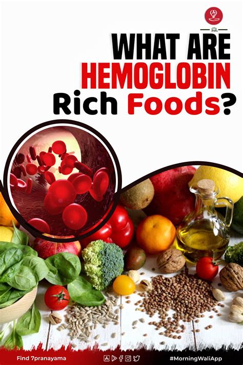 How To Increase Hemoglobin And What Are Hemoglobin Rich Foods