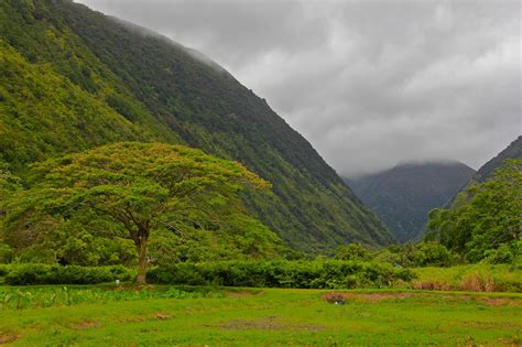 The river flows down a broad appalachian valley, passing hawk's nest overlook on the upper delaware scenic byway. Trip Guide Waipio Valley Hawaii - XciteFun.net