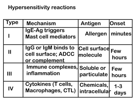 Ppt Hypersensitivity Reactions Powerpoint Presentation Free Download