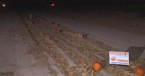 Thieves Hit Arizona Farm Where It Hurts Just Before Halloween Grab