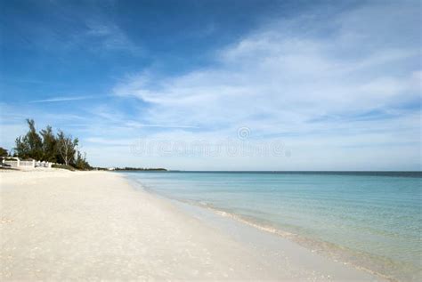 Grand Bahama Island Coral Beach Stock Image Image Of Vacation Travel