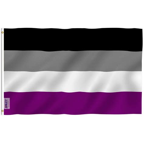 Buy Anley Fly Breeze 3x5 Feet Asexual Pride Flag Vivid Color And Fade