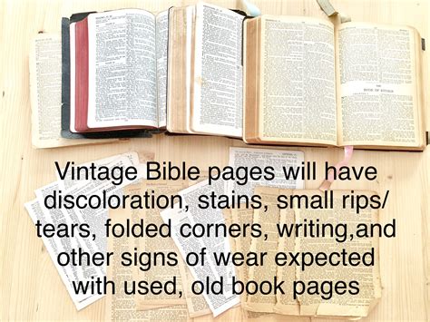Vintage Bible Pages Set Of 20 Old Book Pages From Bibles Etsy