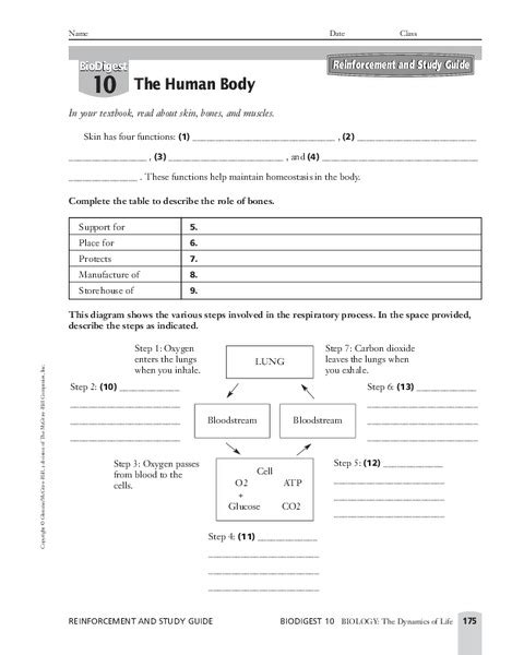 The Human Body Worksheet For 6th 12th Grade Lesson Planet