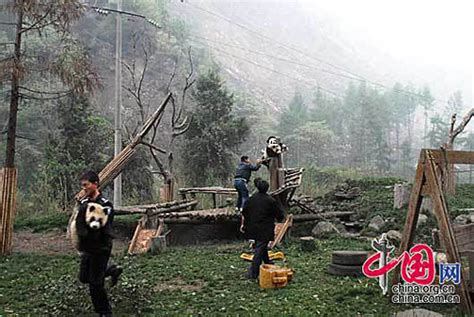 2 Giant Pandas Remain Missing From Wolong Cn