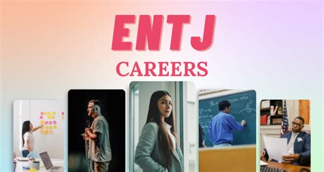 15 Best Careers For Entj Personality Types So Syncd