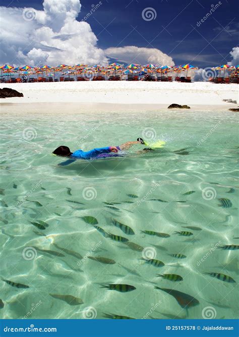 Swimming With The Fishes Stock Photo Image Of Andaman 25157578