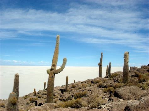 Salar De Uyuní Bolivia Travel Inspiration Natural Landmarks