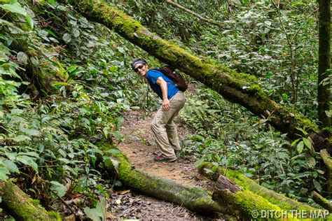 Enjoy free cancellation on most hotels. 2 Days in the Cameron Highlands, Malaysia - Travel Blog ...