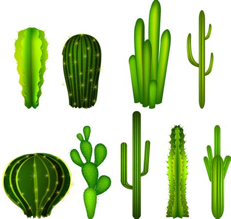 Cactus Free Vector Download 50 Free Vector For Commercial Use
