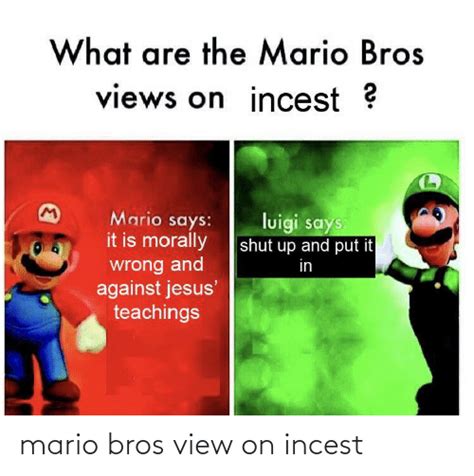 Mario Bros View On Incest Mario Meme On Me Me