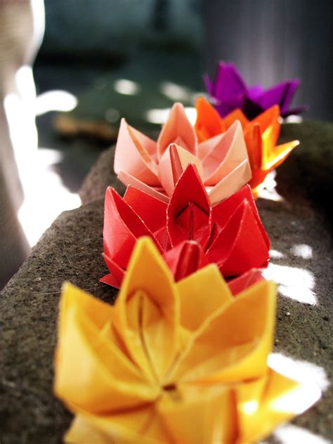 Origami Flower Lotus Tutorial Flower Information