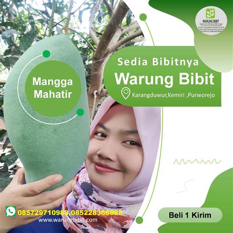 085729710988 Warung Bibit- Pusat Jual Beli dan Layanan Bibit -bibit