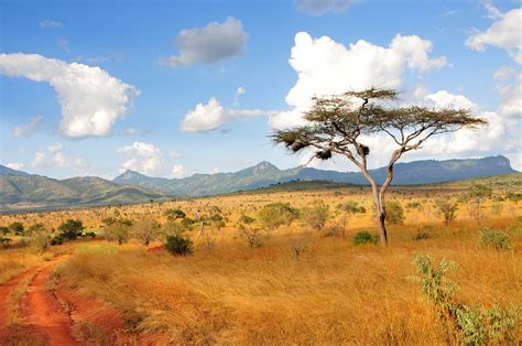 Kenya Paysage Voyage Carte Plan